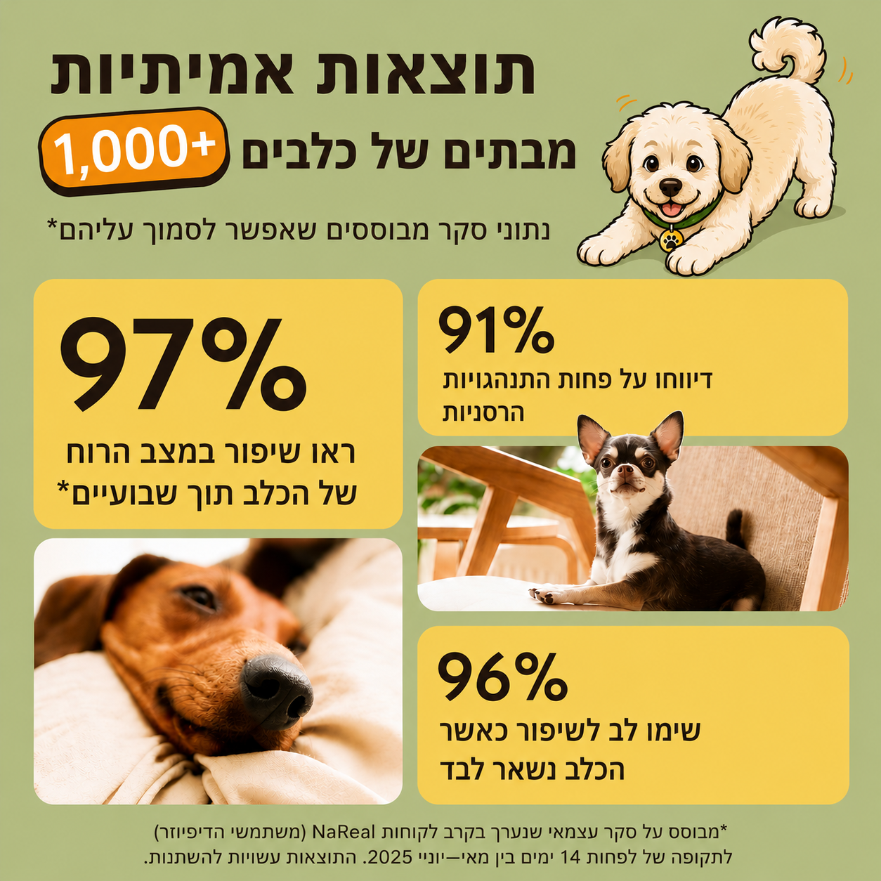 HappyPet™- בקבוקוני מילוי לכלב