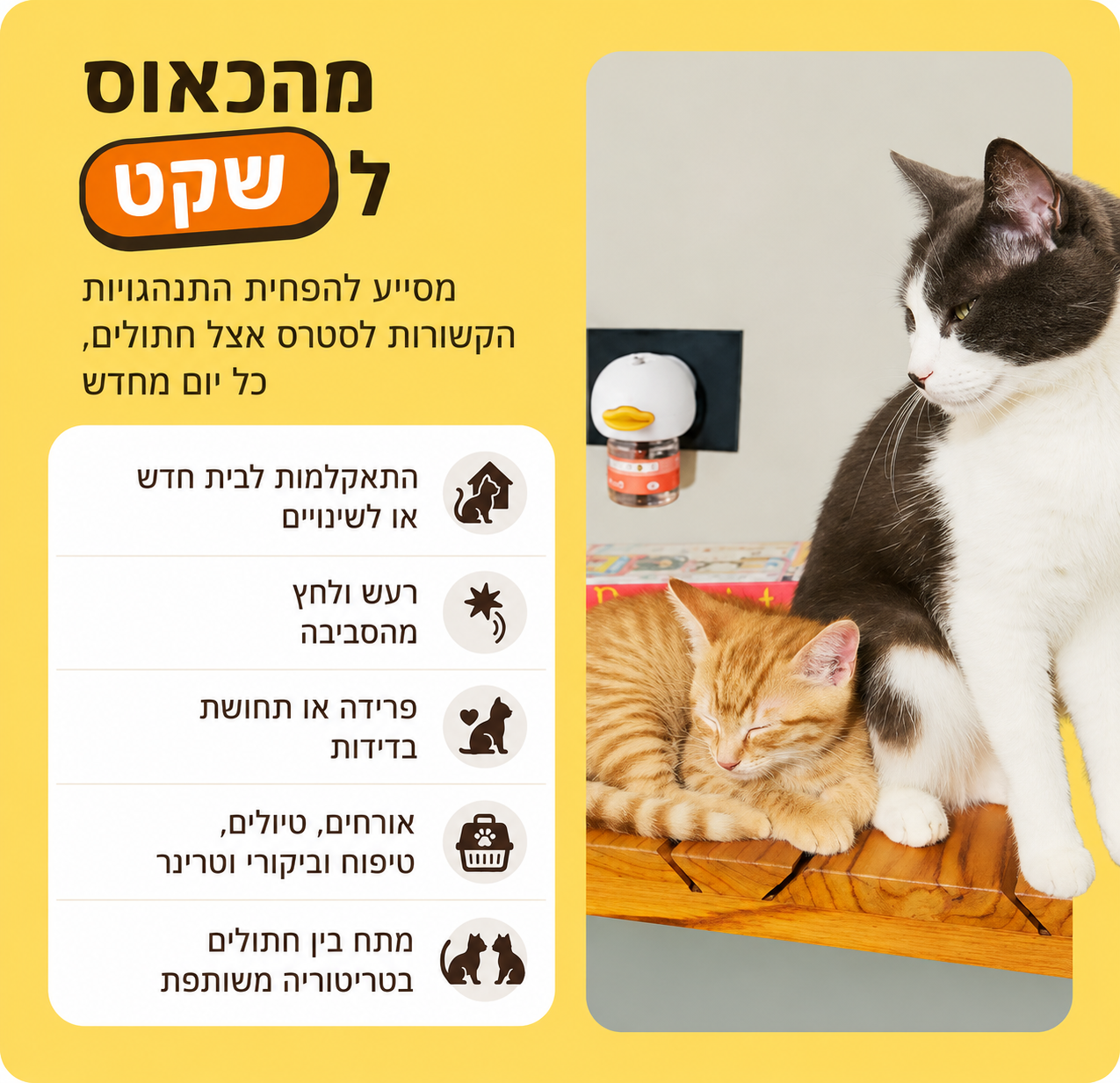 HappyPet™-  בקבוקוני מילוי לחתול