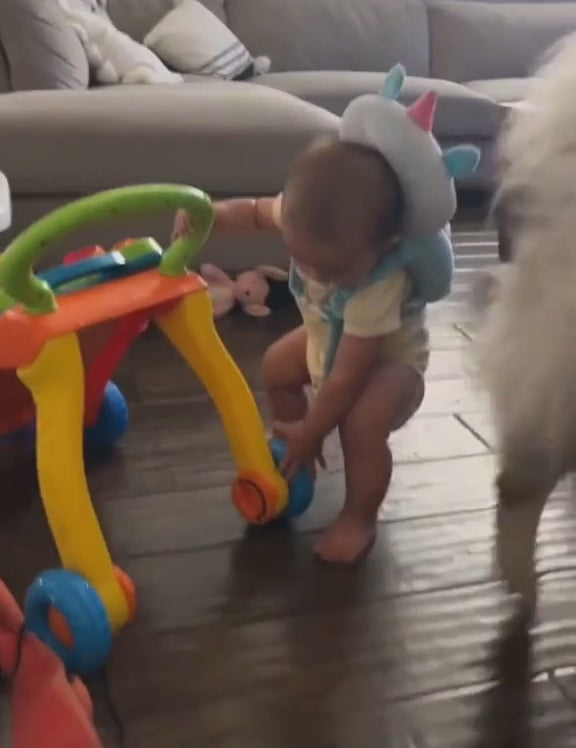 וידאו נטען: 